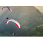 Advance Weightless meilleur prix