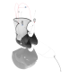 Advance Strapless 4