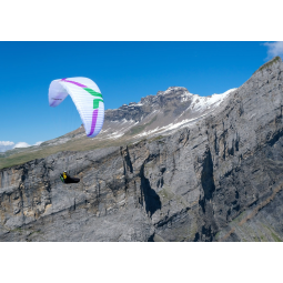 Ozone swift 6