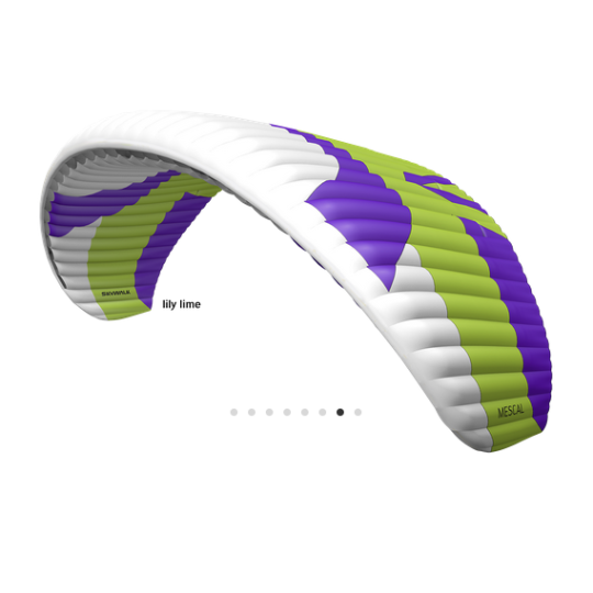 Skywalk Mescal 6 S Lily/Lime Occasion – Voile EN-A 75/95 kg | Excellent état