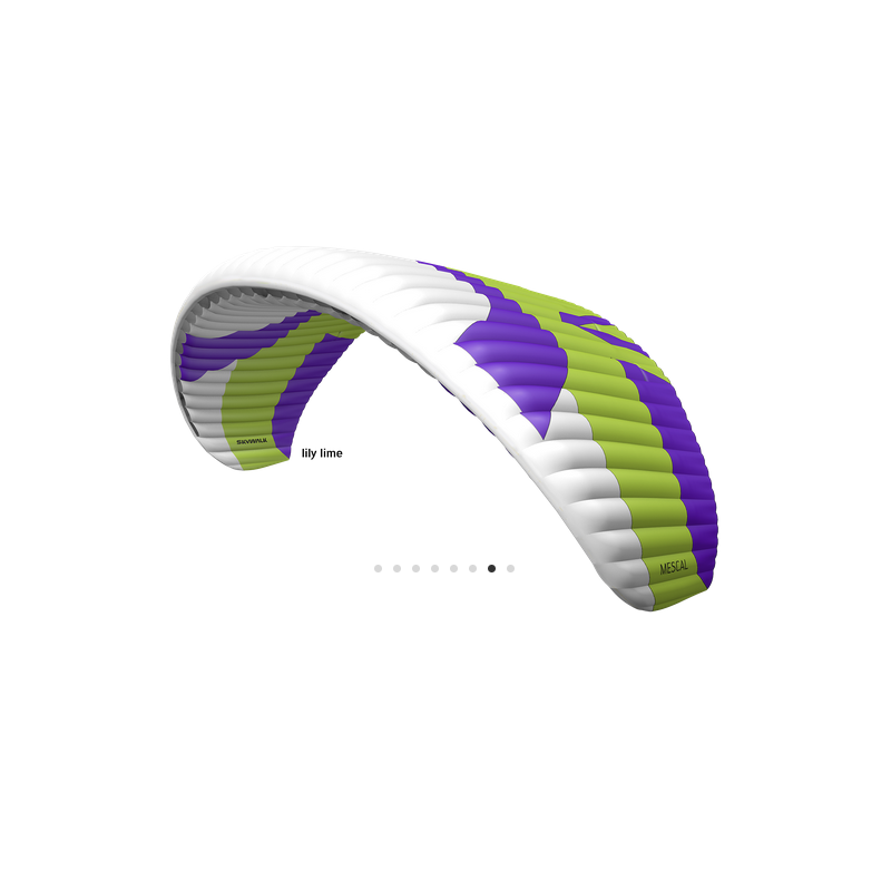 Skywalk Mescal 6 S Lily/Lime Occasion – Voile EN-A 75/95 kg | Excellent état