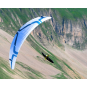Ozone Lyght – Voile 2-lignes EN-C légère & performante